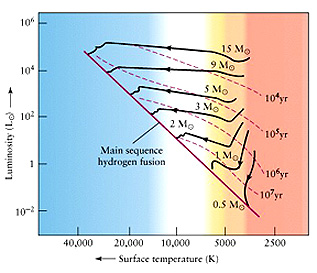 Pathways of protostars with different masses to the Main Sequence; duration times as the stars move to the M.S. also shown.